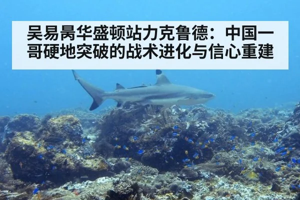 吴易昺华盛顿站力克鲁德：中国一哥硬地突破的战术进化与信心重建