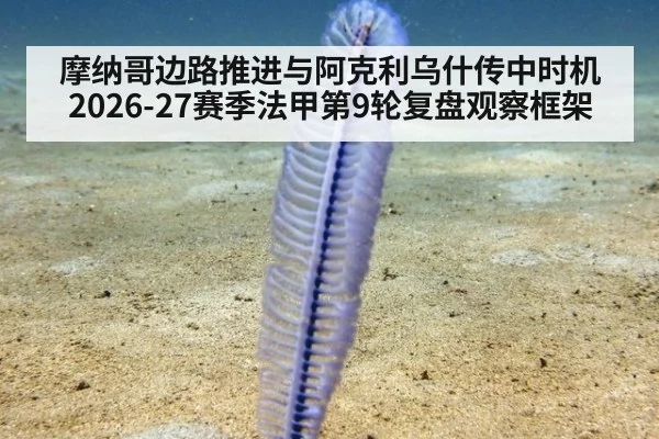 摩纳哥边路推进与阿克利乌什传中时机 2026-27赛季法甲第9轮复盘观察框架